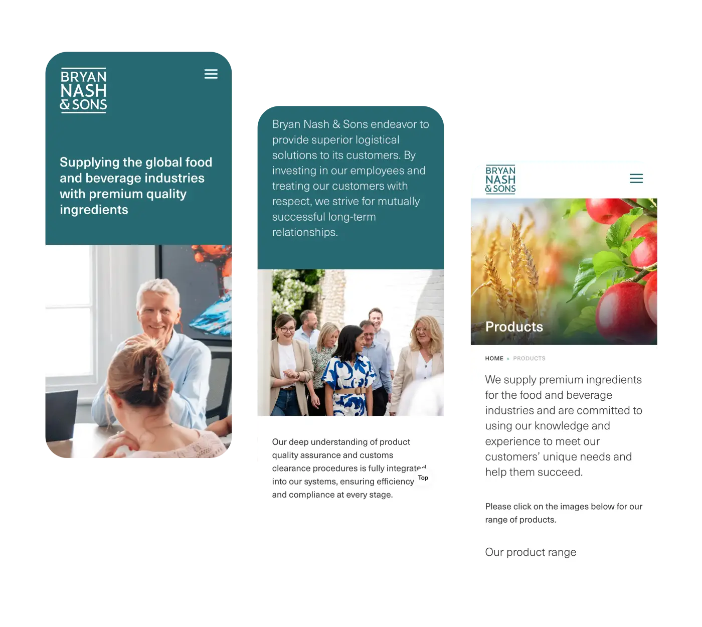 Bryan Nash & Sons - website mobile view